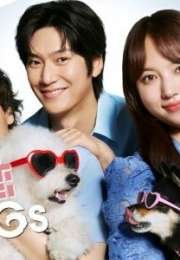 Love Is for the Dogs 2025 Japon 6. Bölüm