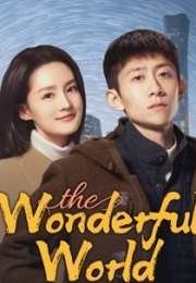 The Wonderful World 2025 Çin 27-29. Bölüm